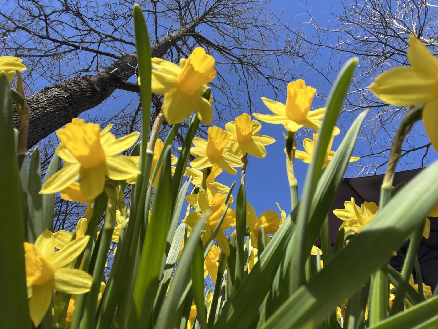 The%20All New%20Paste%20for%20iOS